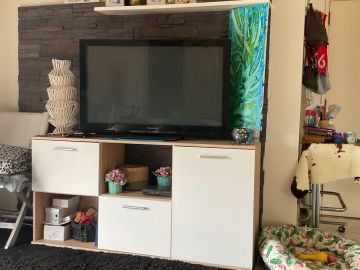 TV Repair Specialist