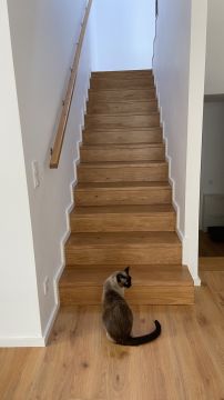 Joana Cunha - Porto - Pet Sitting
