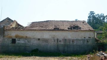 Roof Installation Professional