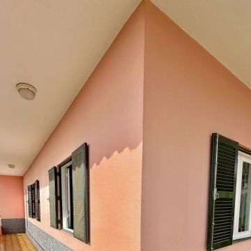 Guardião Pet - Funchal - Dog Daycare