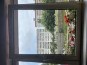 Window Repair Specialist
