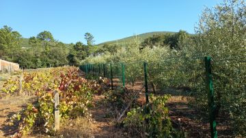 Serralheria Pro Inox - Ourém - Remodelação de Varanda