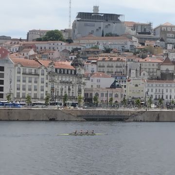 Laura - Coimbra - House Cleaning (Recurring)