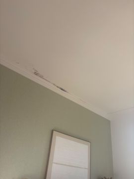 Pintor de Interiores