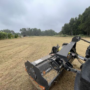 Baltazar Ribau - Ílhavo - Gartenarbeit