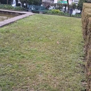 BOMBEIRO JARDINEIRO - Loures - Poda e Manutenção de Árvores