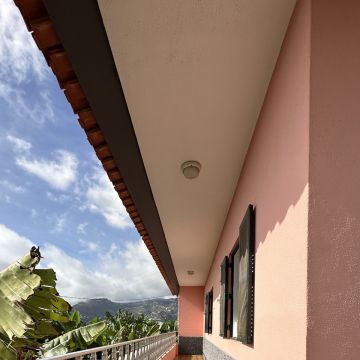 Guardião Pet - Funchal - Dog Daycare