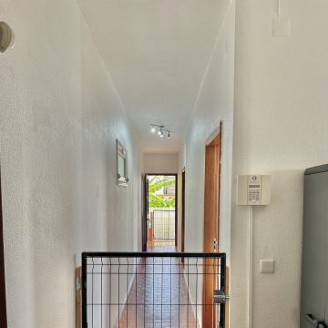Guardião Pet - Funchal - Pet Hotel