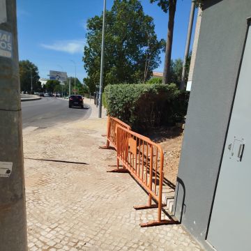 dquels - Faro - Remoção de Tronco de Árvore