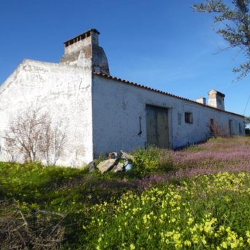 Eng Leonildo Morais - Campo Maior - Immobilien