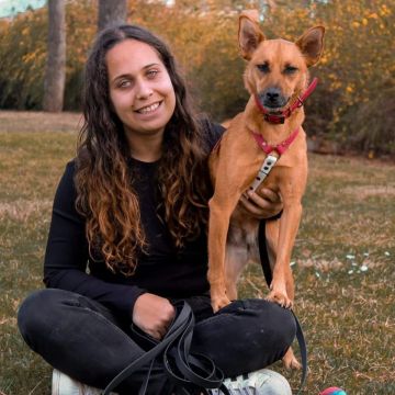 Daniela Costa - Vila Real - Basic Math Tutoring