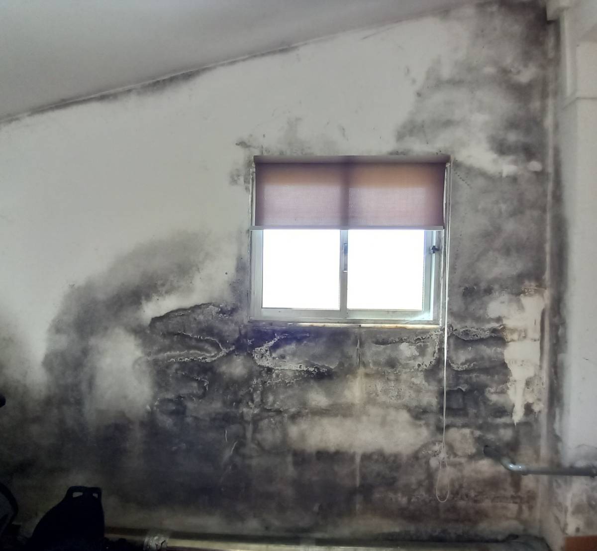 JA Limpezas Lda - Mação - Rug Cleaning