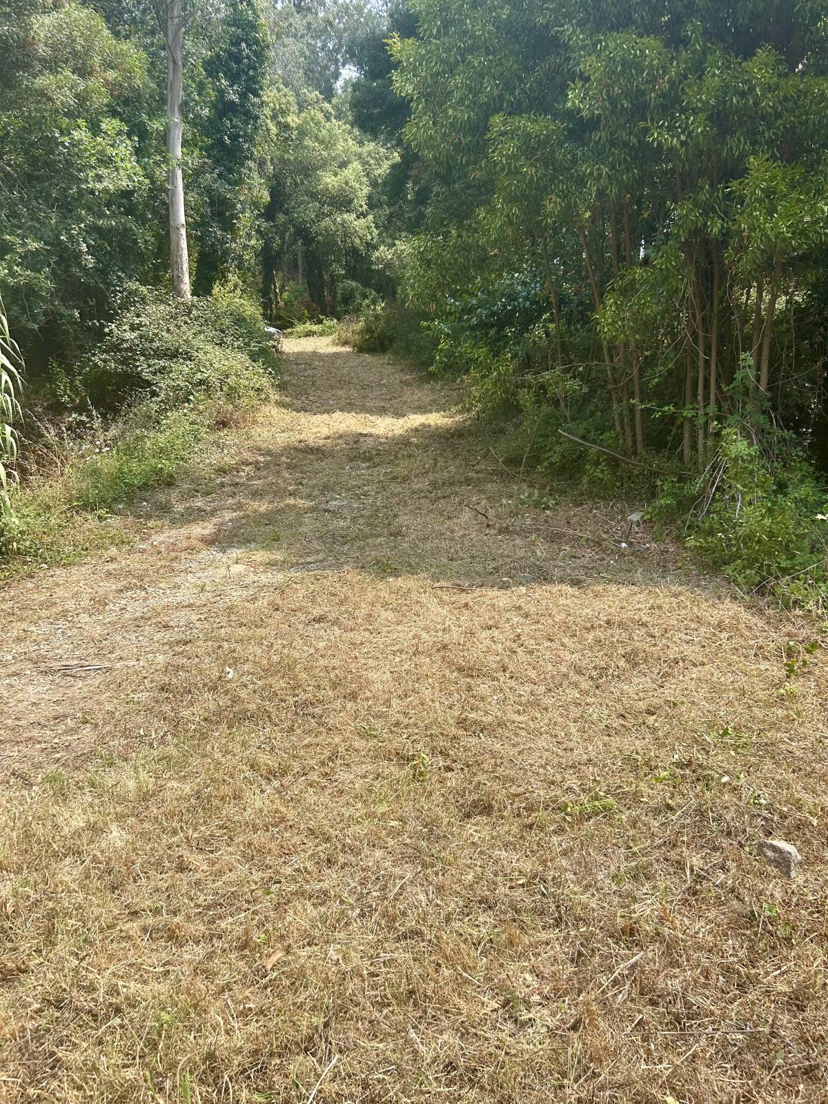 Matozero - Porto - Xeriscaping / Niedrigmengen-Bewässerungssystem im Garten