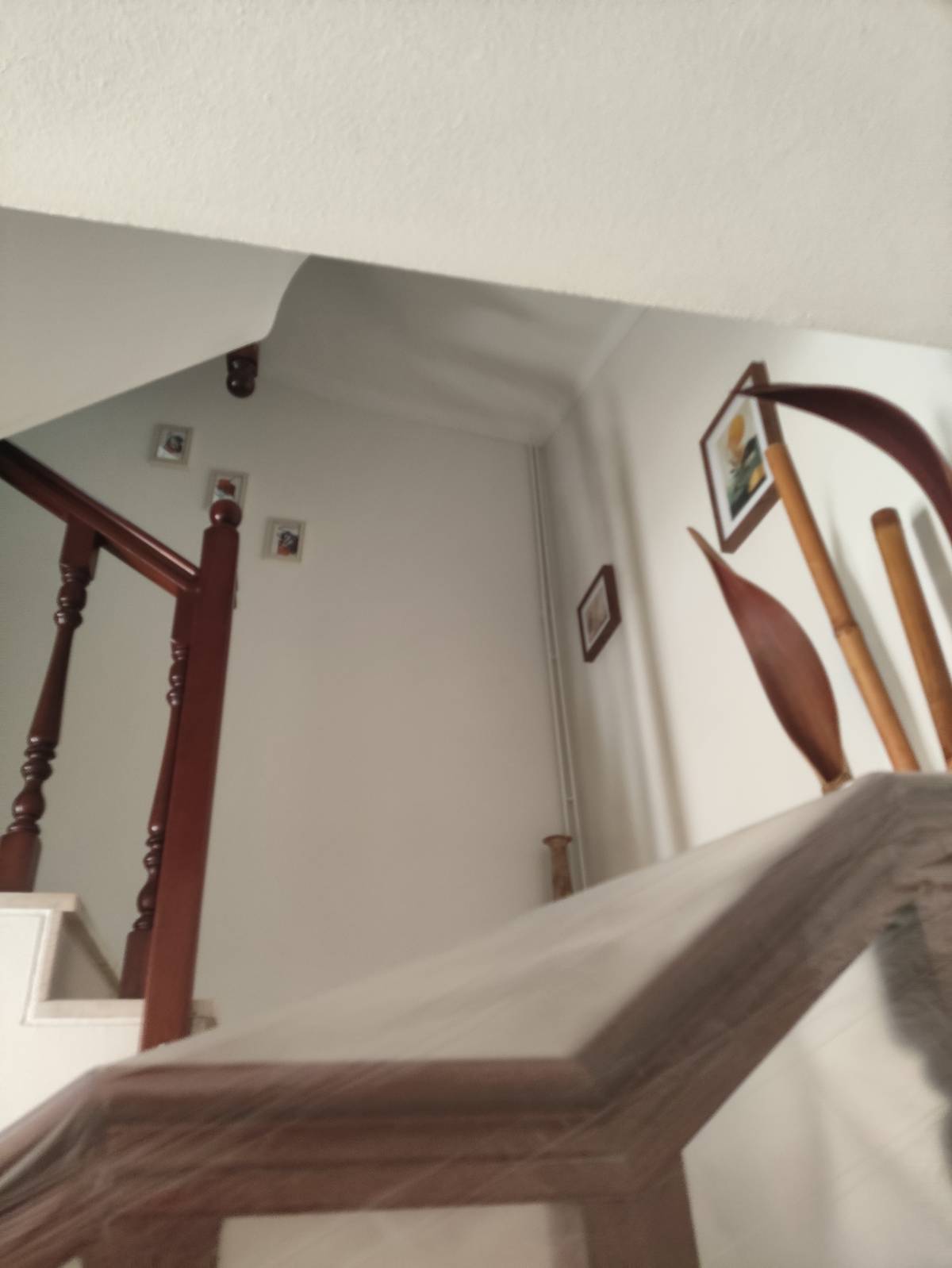 JM Pinturas - Leiria - Stair and Staircase Addition or Remodel