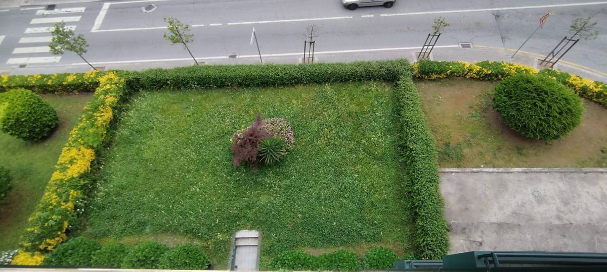 Gartenarbeit