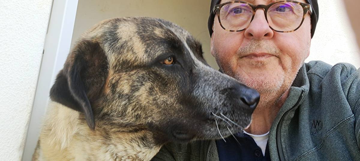 João Correia - Olhão - Adiestramiento de perros - Clases privadas