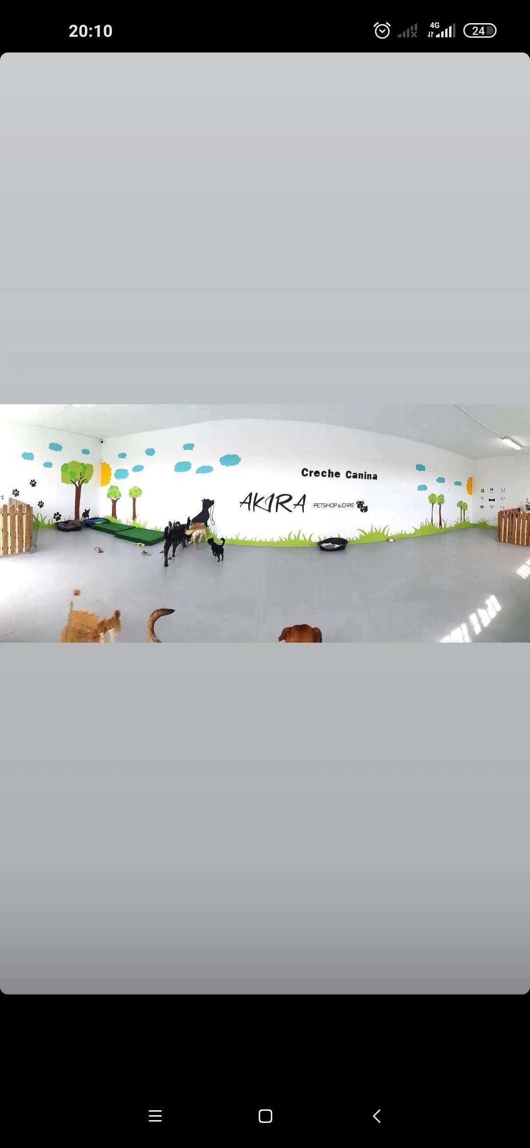 AKIRA PetShop&Care - Amadora - Dog Walking