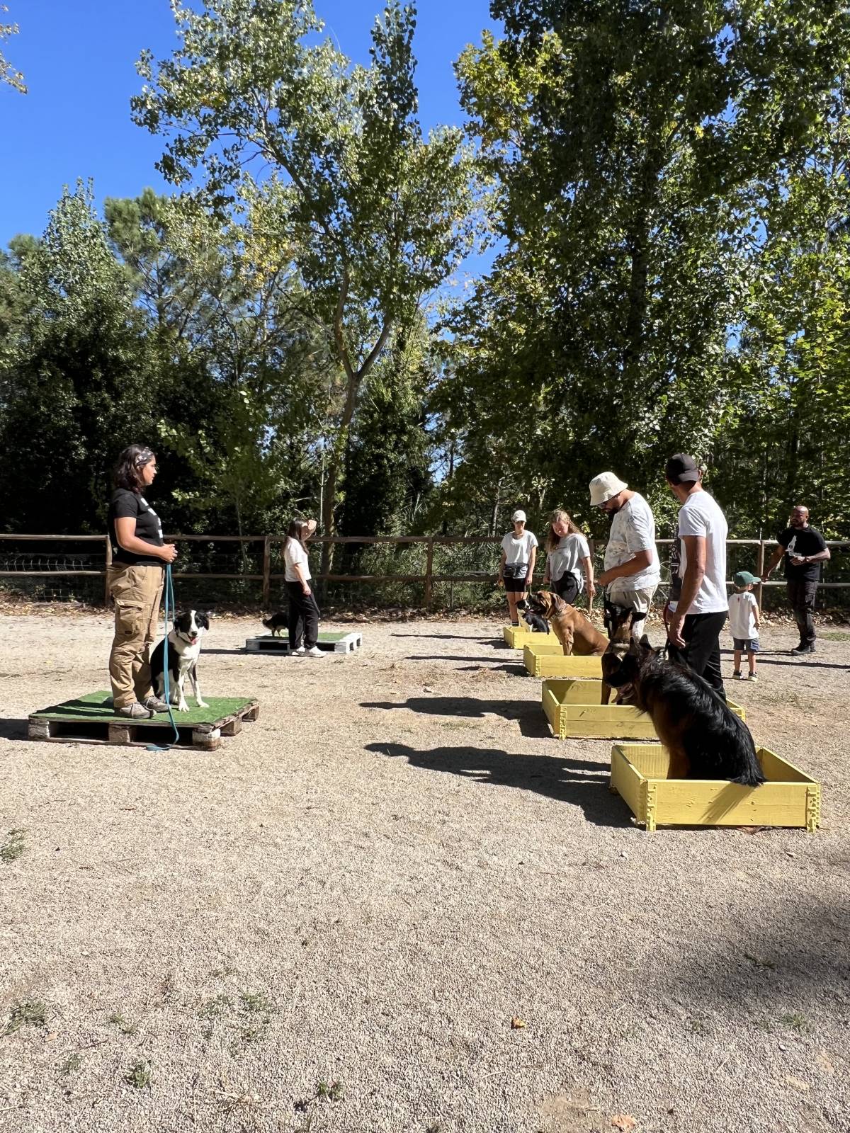 K9 School Ecológic - Lourinhã - Animal Training and Behavior Modification (Non-canine)