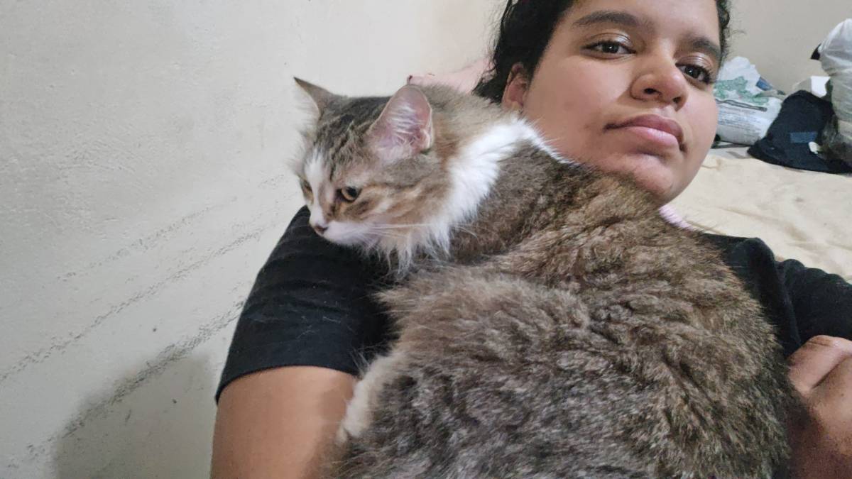 Vitória das Dores - Lisboa - Cat Sitting