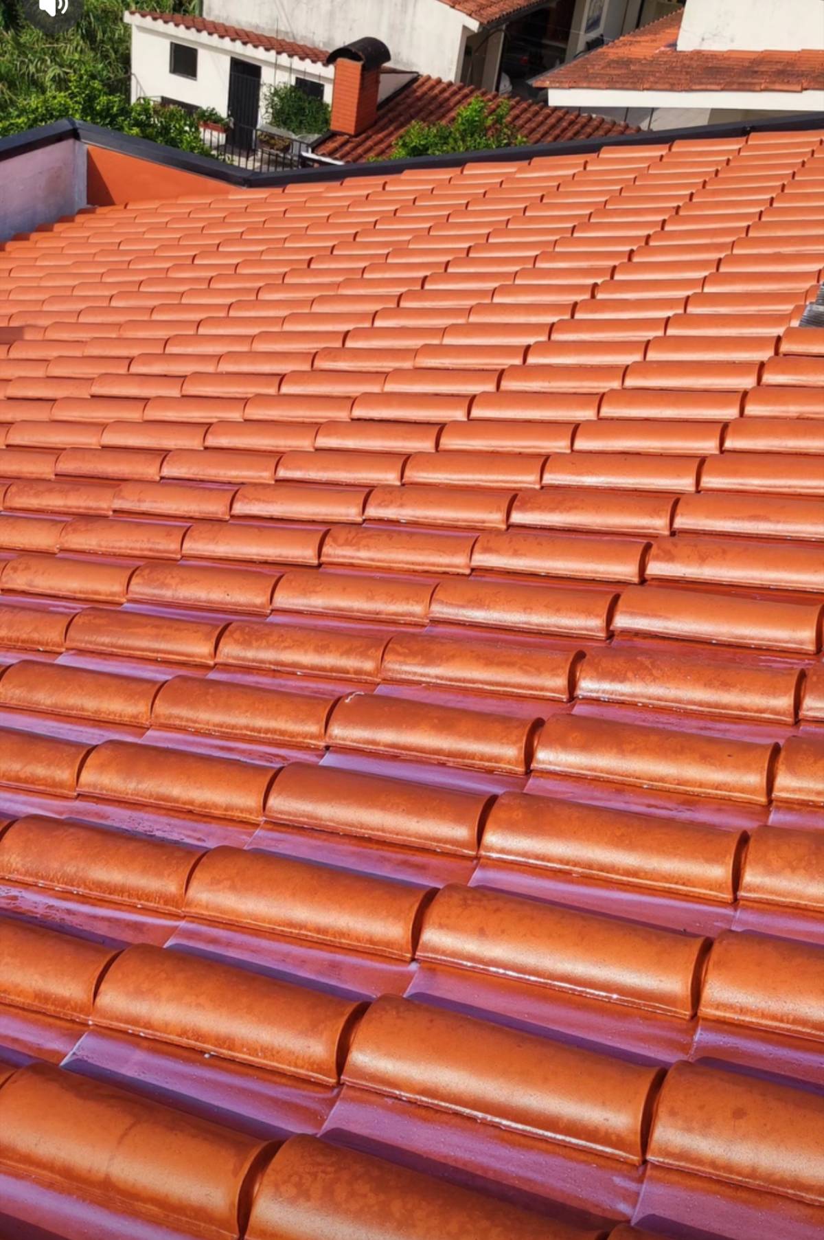 Marcio Valério - Mira - Roofing