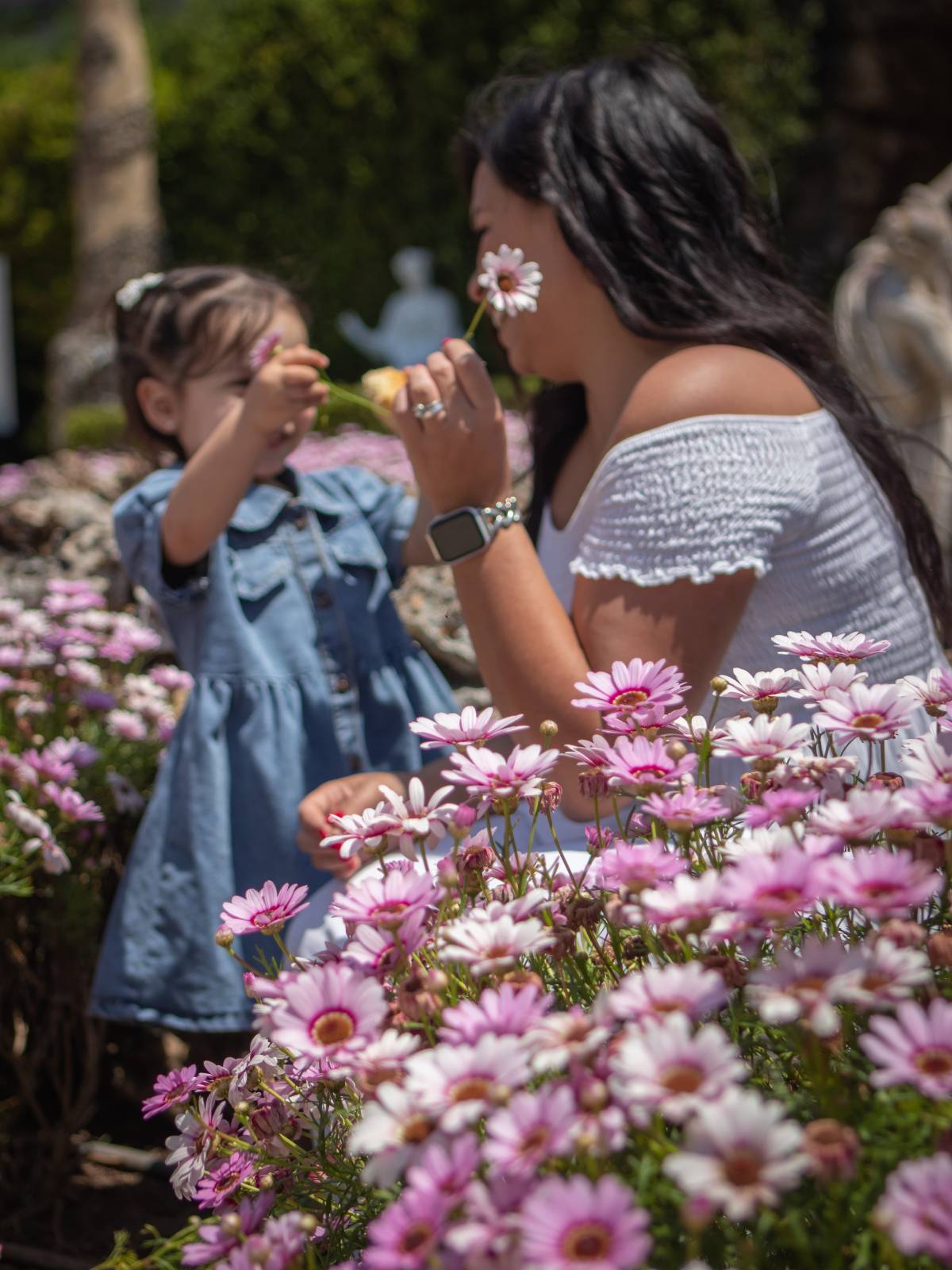 Joana Menezes Fotografia - Amadora - Fotografia Aérea