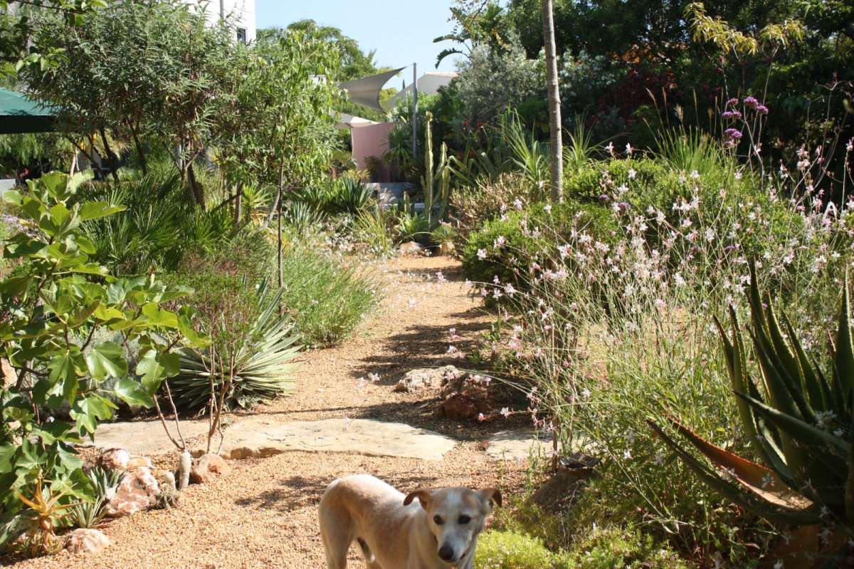 Adriana Gil - Mértola - Landscaping