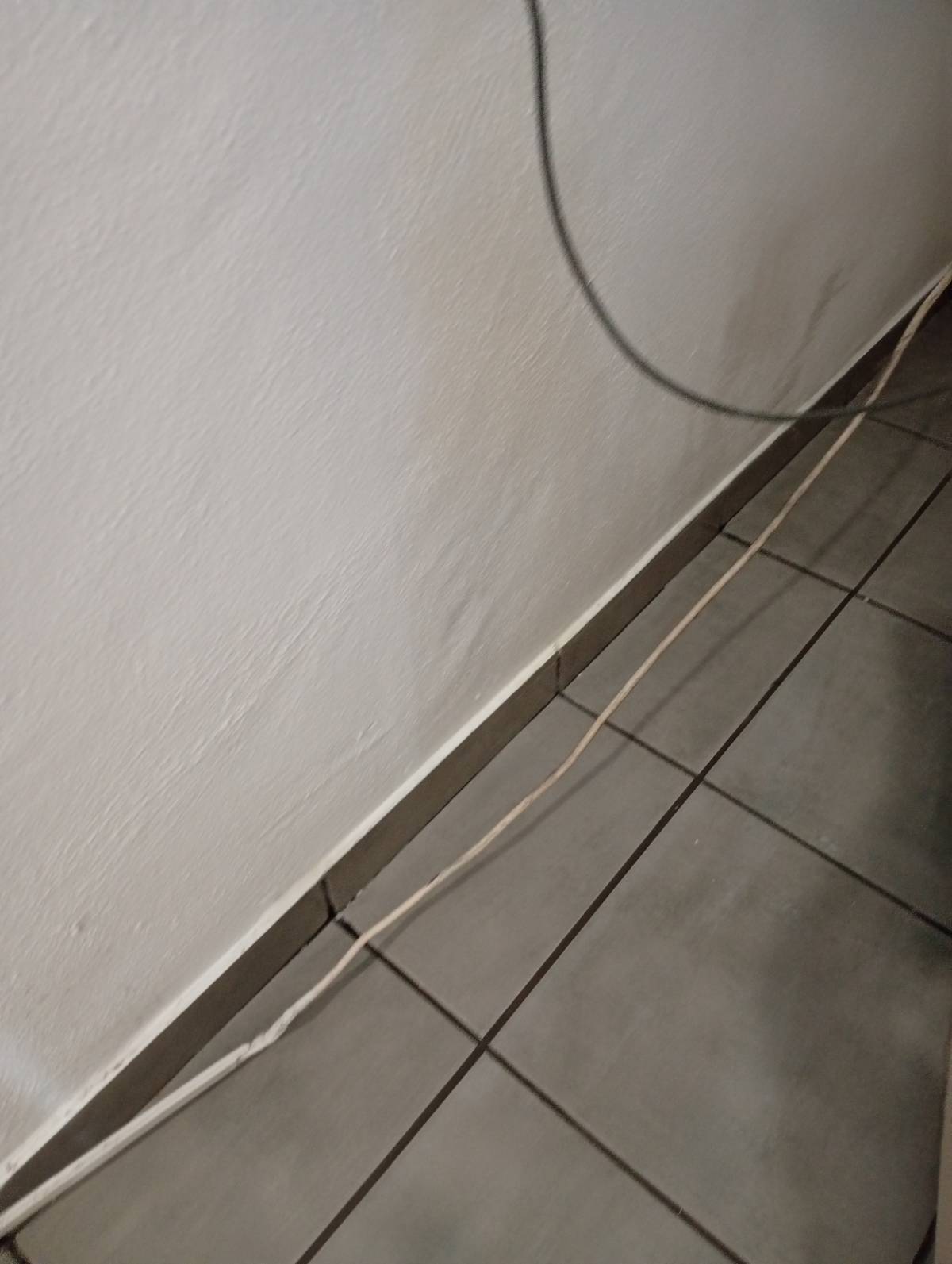 Liliana fortes - Sesimbra - Property Cleanup