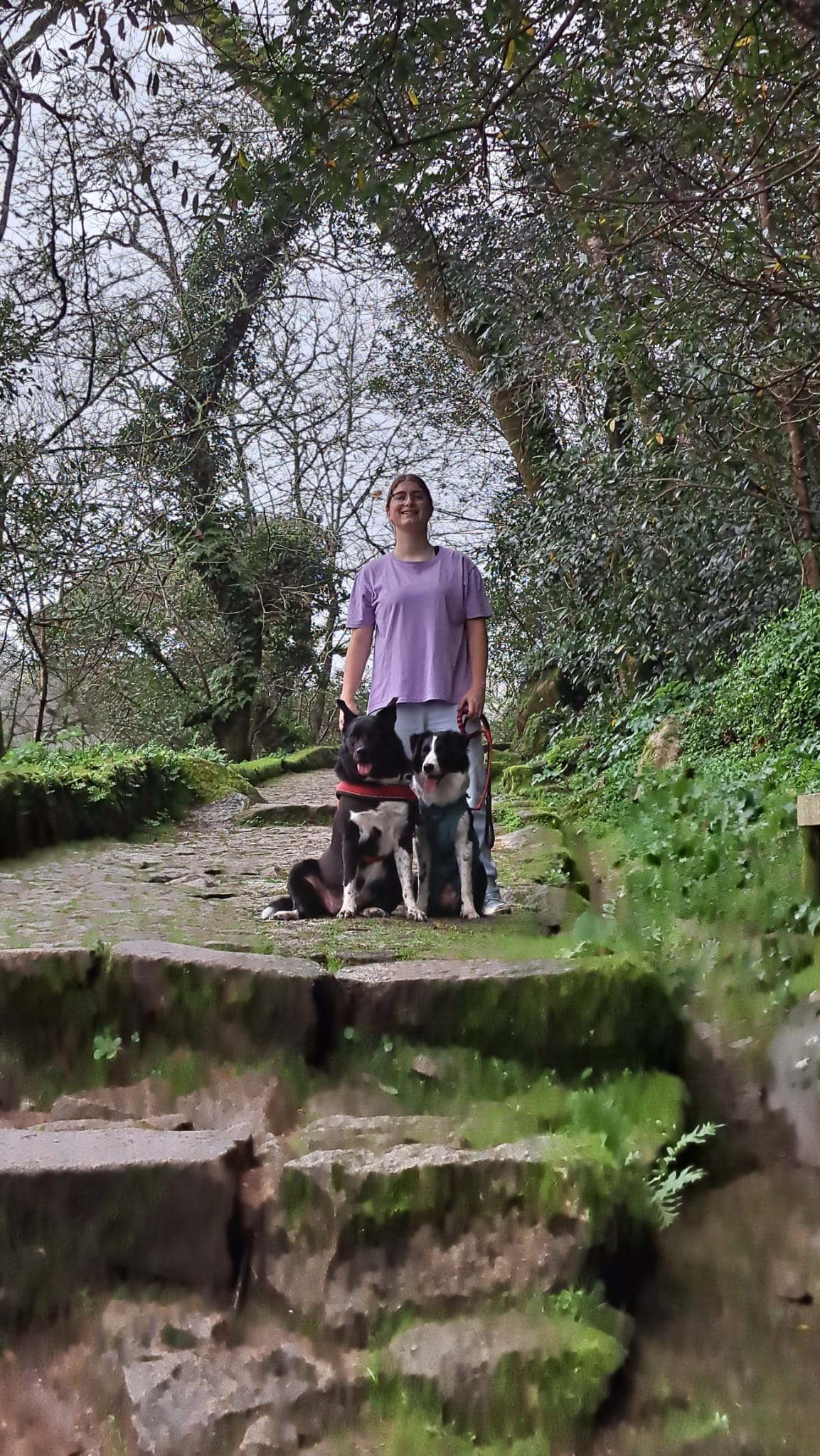 Patrícia Ferrão - Sintra - Paseador de perros