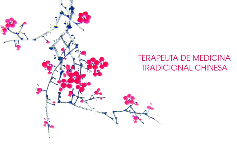 Joana Oliveira - Medicina Tradicional Chinesa - Espinho - Massagem Profunda