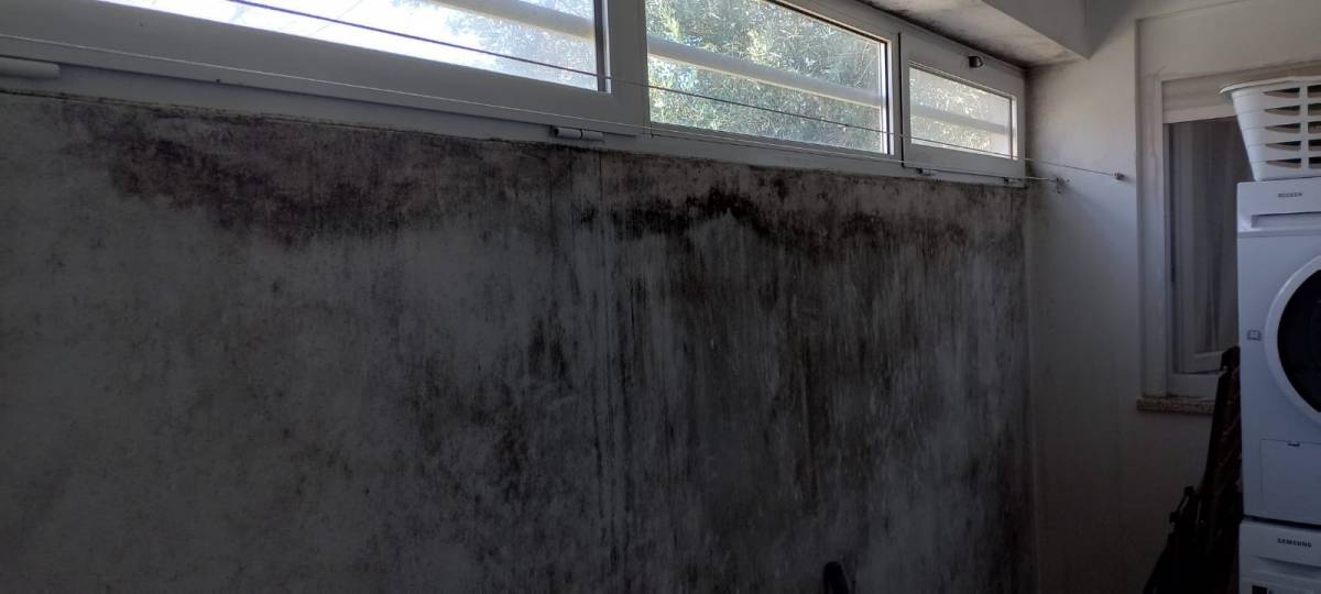 JA Limpezas Lda - Mação - Move-in or Move-out Cleaning