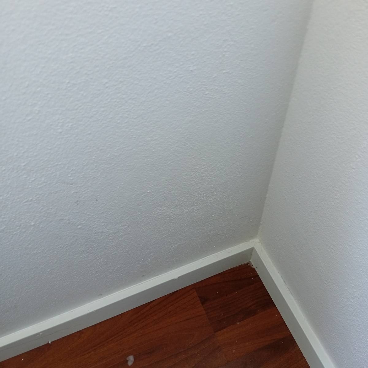 Liliana fortes - Sesimbra - Upholstery and Furniture Cleaning