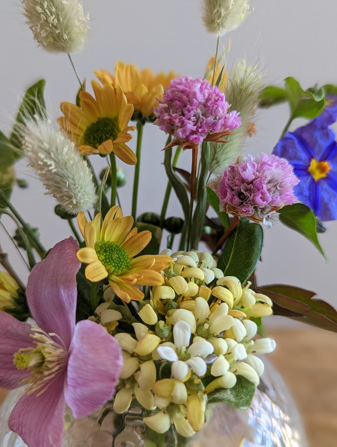 Dina Maria - Oficina das flores - Cascais - Floristas