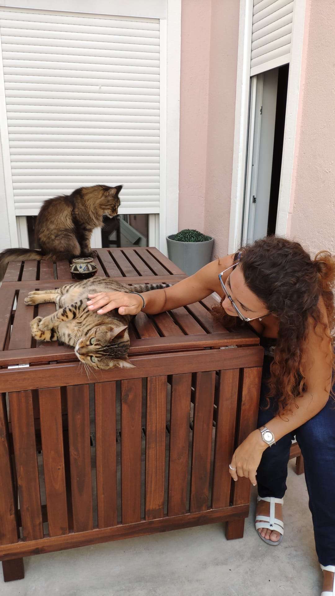 Ângela Santos - Lisboa - Cat Sitting