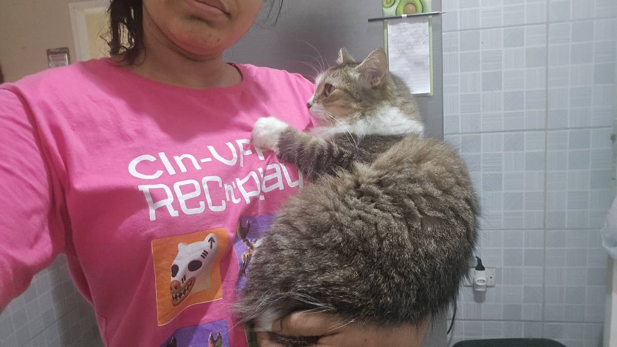 Vitória das Dores - Lisboa - Cat Sitting