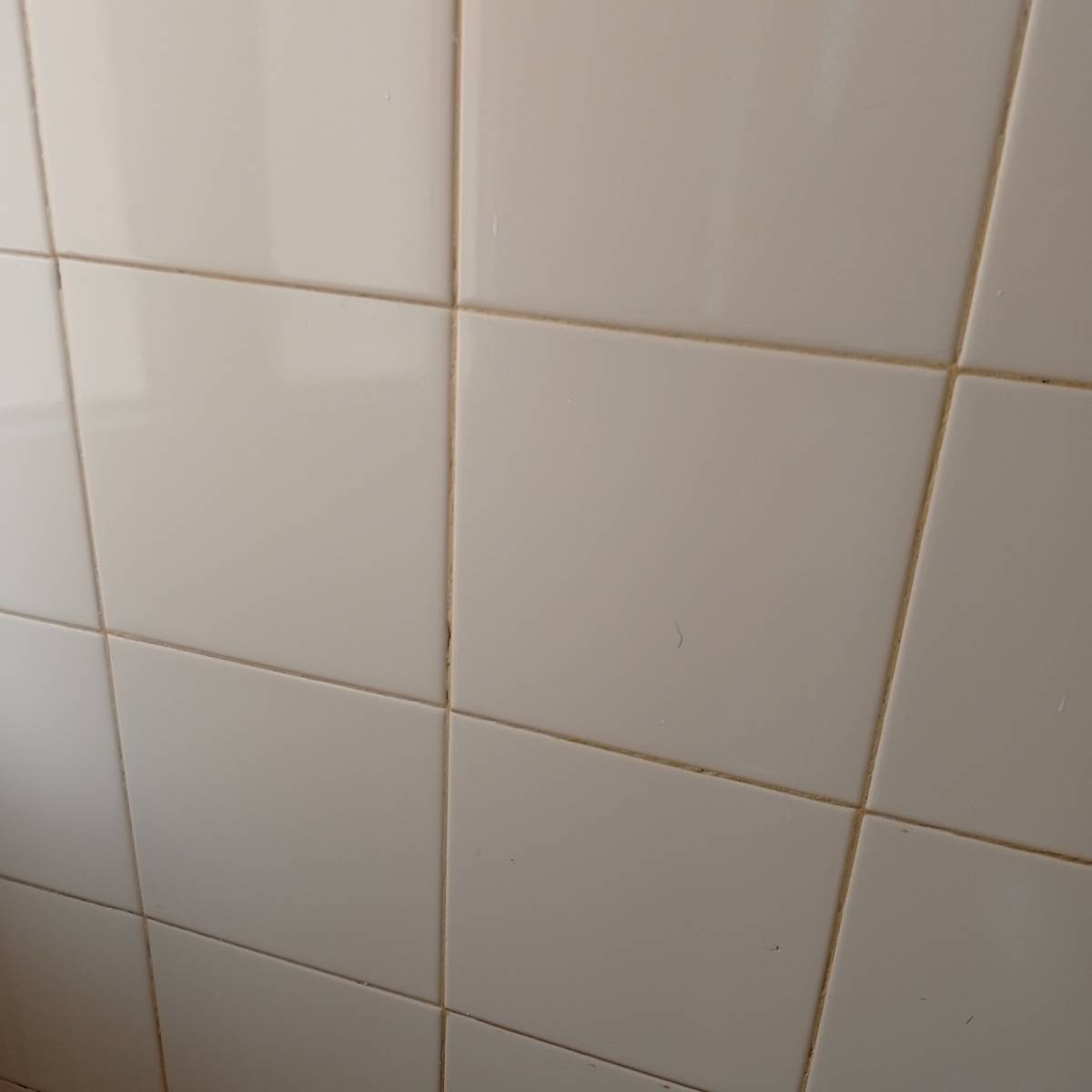 Liliana fortes - Sesimbra - Commercial Cleaning