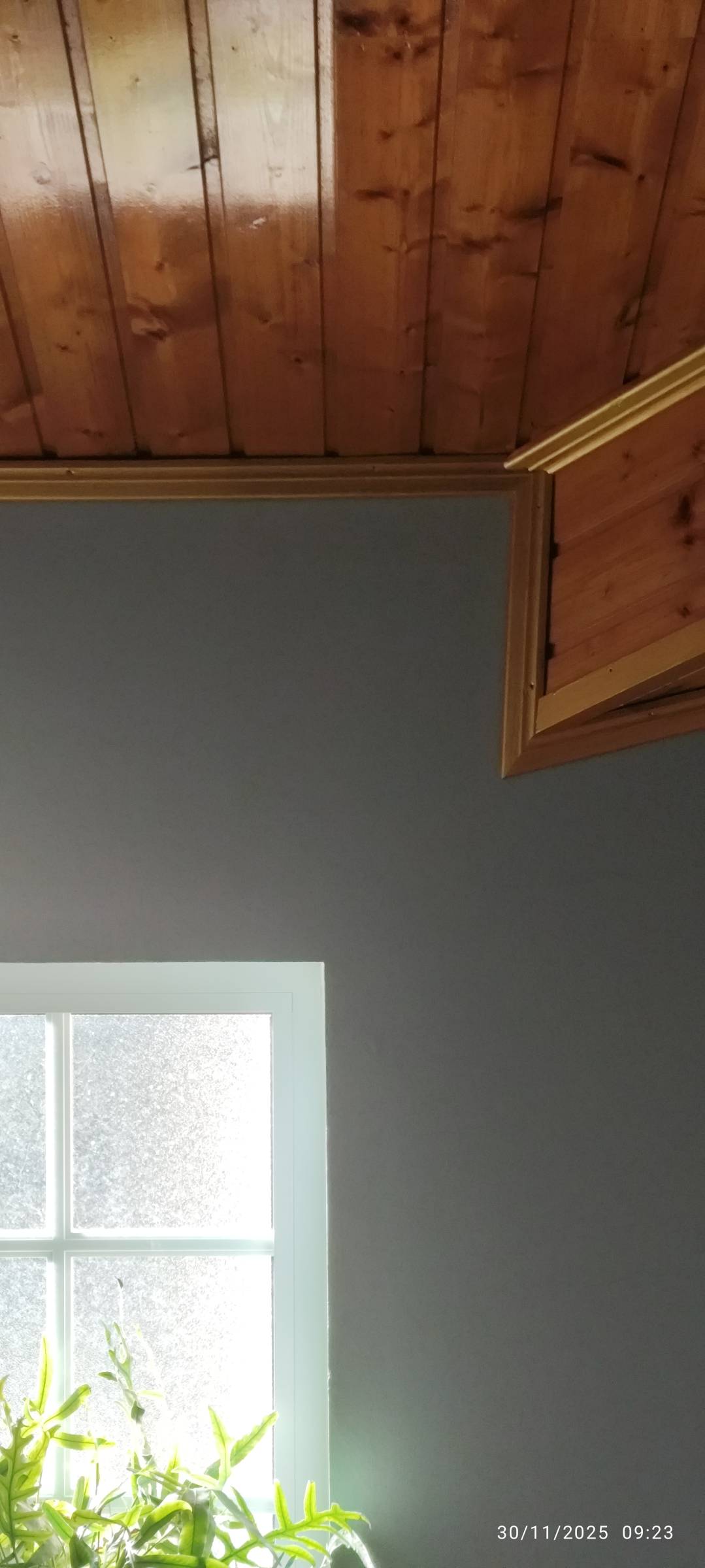 JM Pinturas - Leiria - Wood Siding