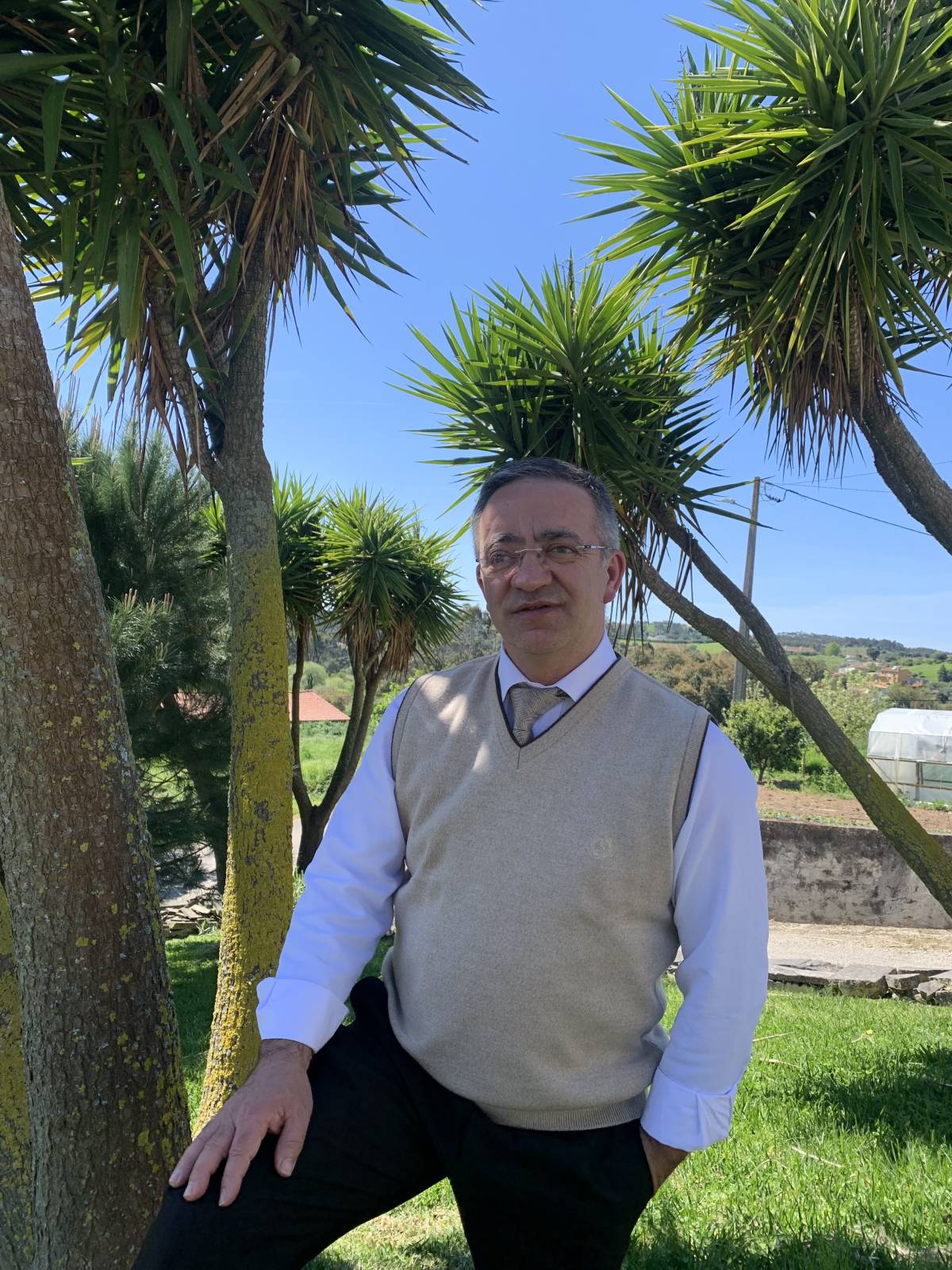 Professor Luís - Caldas da Rainha - Tutoring - Other Academic Courses