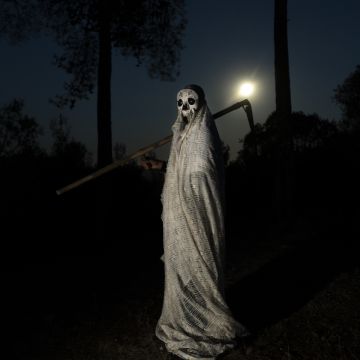 Emanuel Cipriano - Alenquer - Photographie de bébés