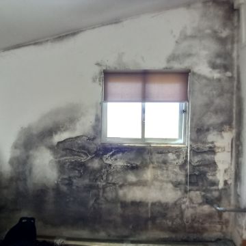 JA Limpezas Lda - Mação - Rug Cleaning