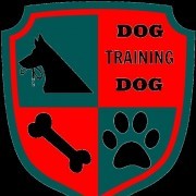 Dog Training Dog - Olhão - Hotel para Cães