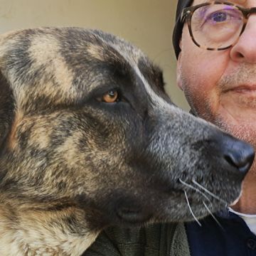 João Correia - Olhão - Adiestramiento de perros - Clases privadas