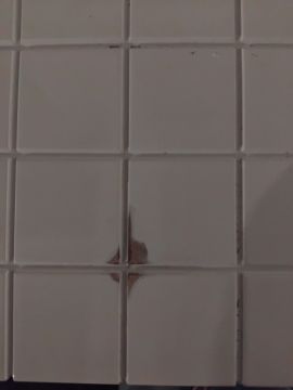 Reparação de Azulejos