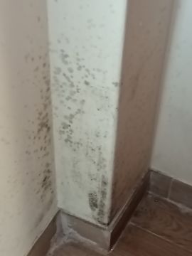 Empresa de Impermeabilização