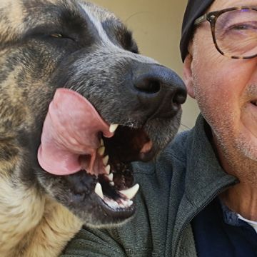 João Correia - Olhão - Cuidados y paseos de mascotas