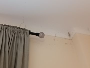Impermeabilização da Casa