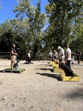K9 School Ecológic - Lourinhã - Animal Training and Behavior Modification (Non-canine)