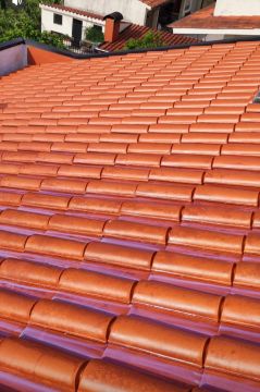 Marcio Valério - Mira - Roofing