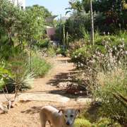 Adriana Gil - Mértola - Landscaping