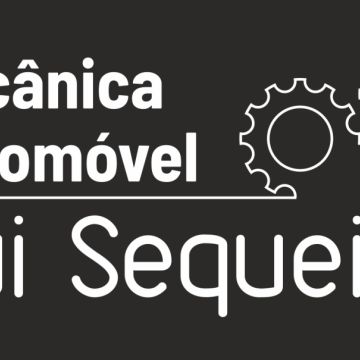 Rui Sequeira - Mecânica Automóvel - Almada - Explicações de Biologia