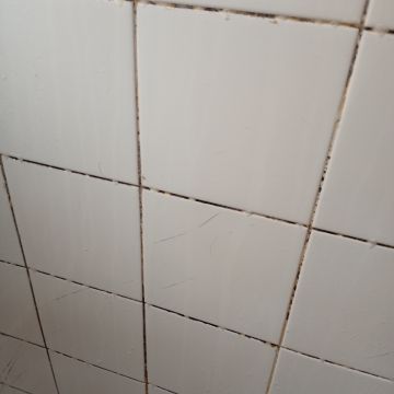 Liliana fortes - Sesimbra - Drapery Cleaning